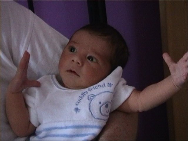 photo44.jpg