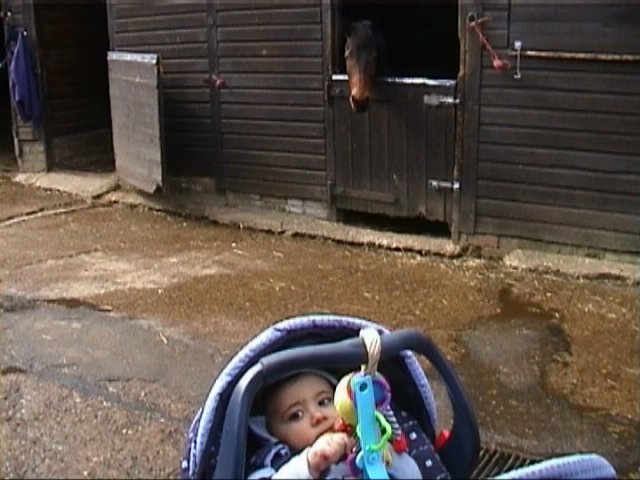 photo16.jpg