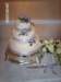 imag0303_small.jpg