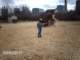 imag0021_small.jpg