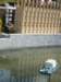 imag0389_small.jpg