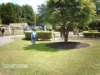 imag0416_small.jpg