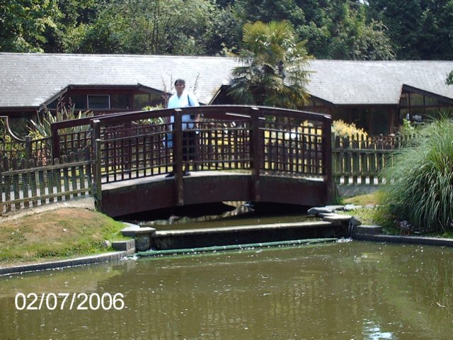 imag0427.jpg