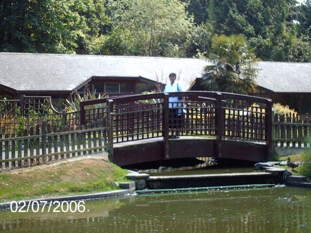 imag0429.jpg