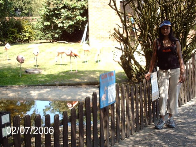 imag0431.jpg