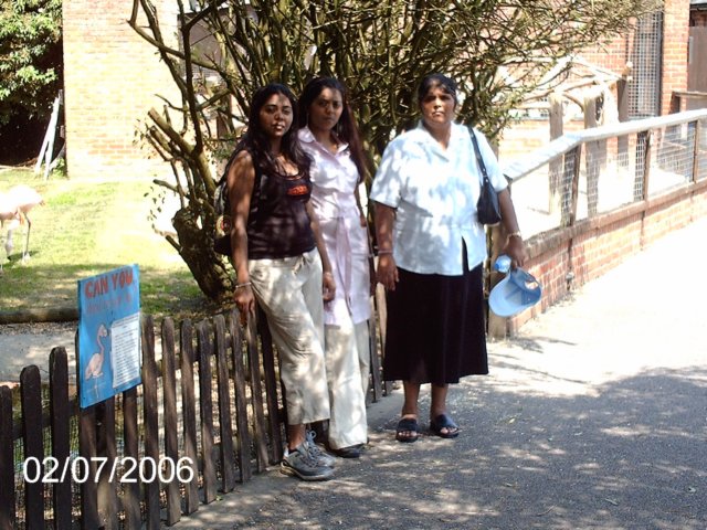 imag0433.jpg